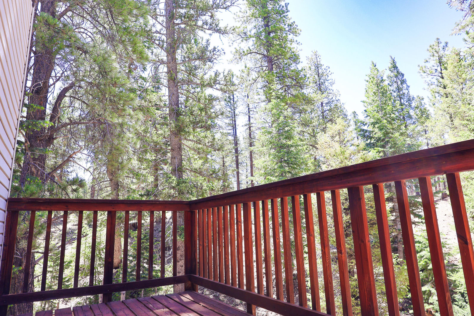 3350 E Hilton Trail, Duck Creek Village, photo 11 of 26