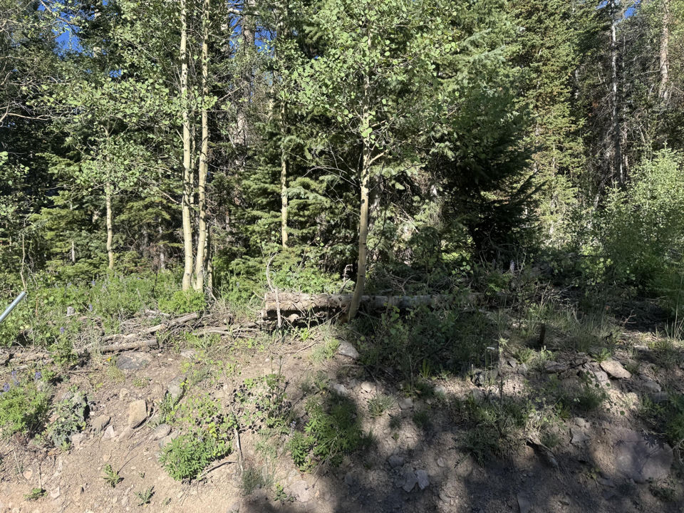 313 N 275 E, CBME unit C lot 111, Brian Head, photo 2