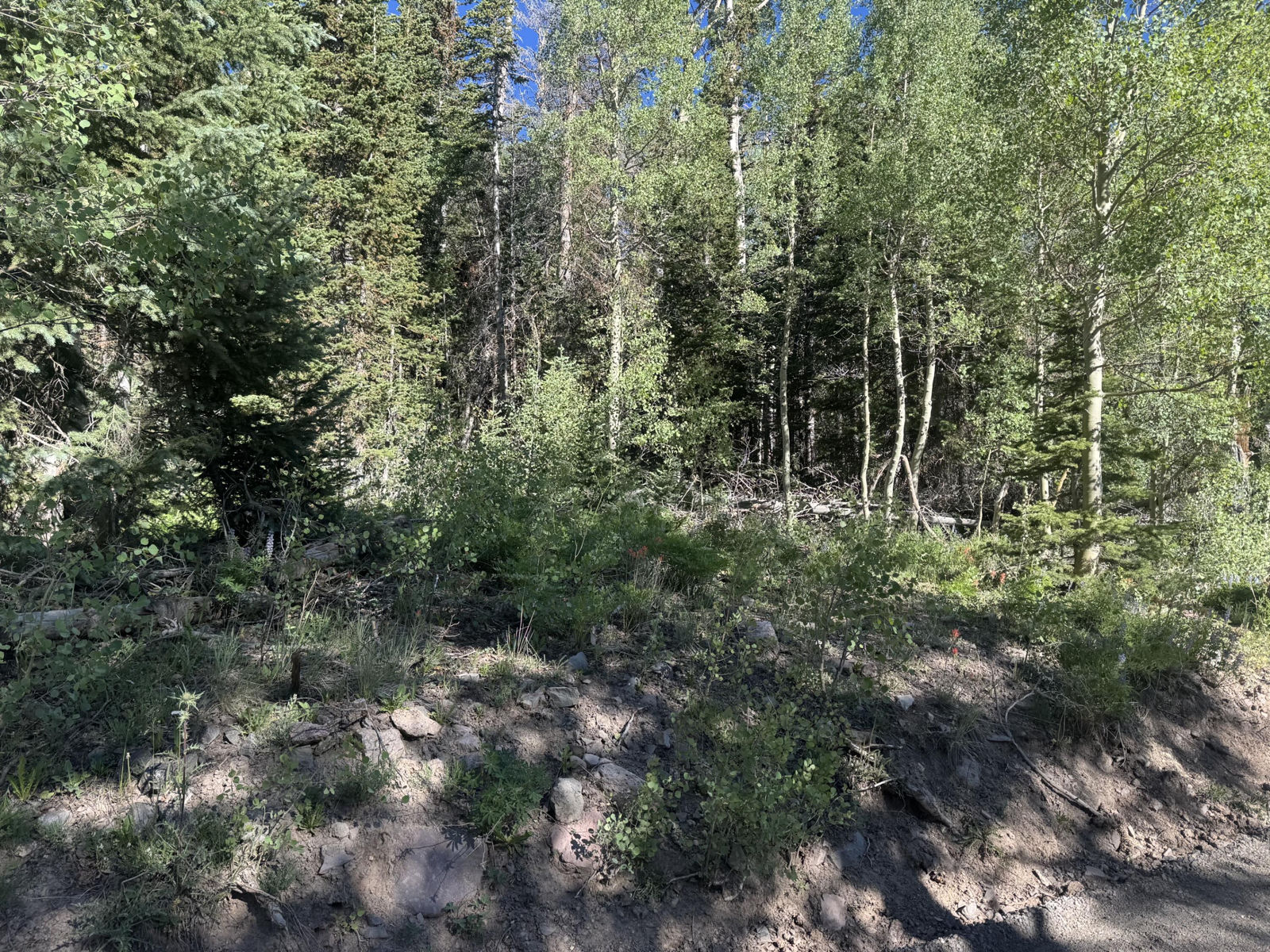 313 N 275 E, CBME unit C lot 111, Brian Head, photo 3 of 5