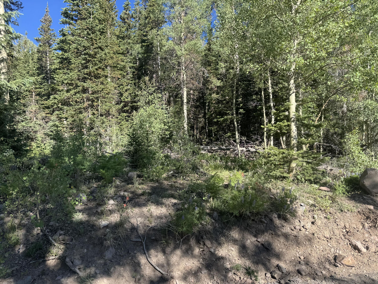 313 N 275 E, CBME unit C lot 111, Brian Head, photo 1
