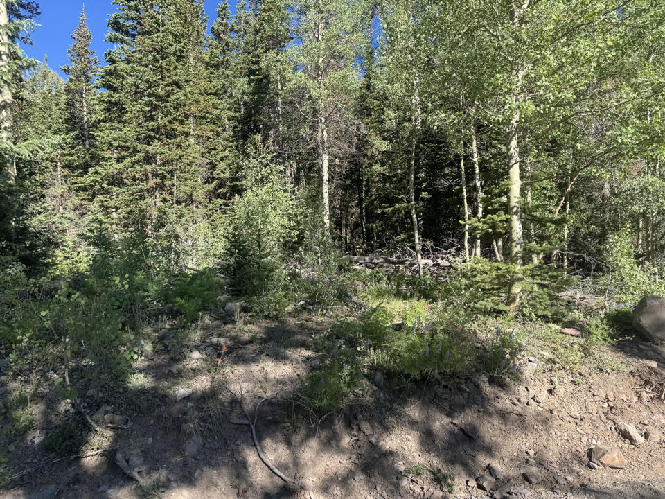 313 N 275 E, CBME unit C lot 111, Brian Head