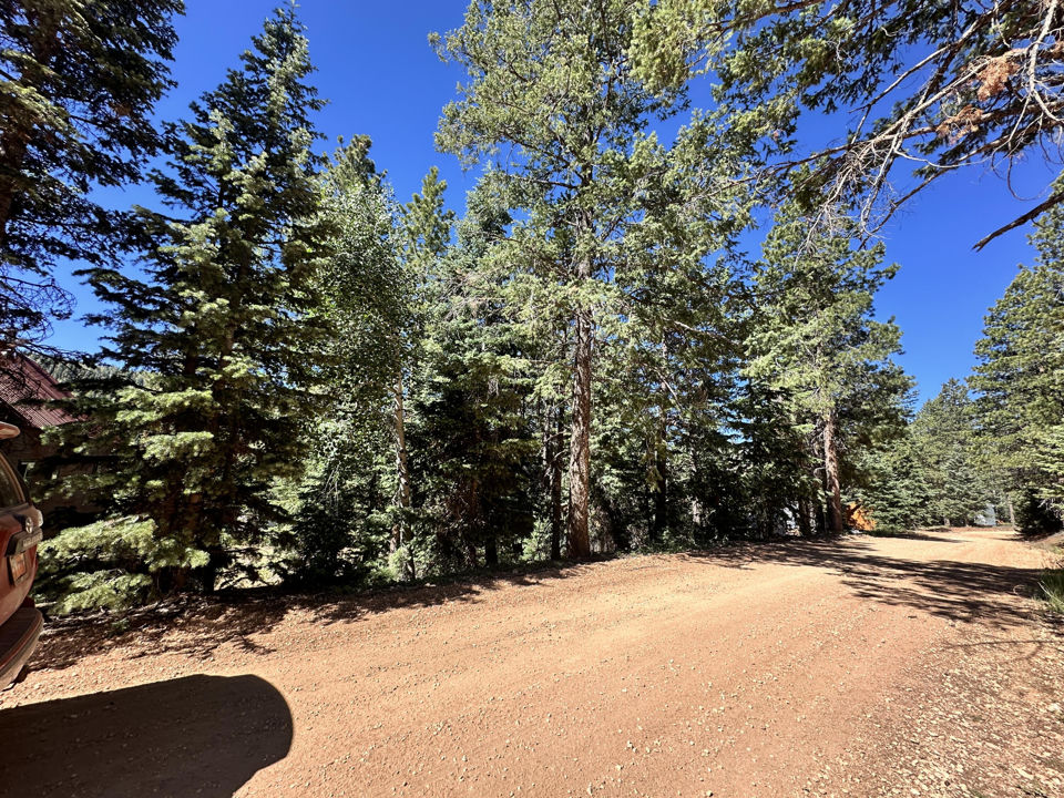 1165 W Doe Trail, Duck Creek Village, photo 3