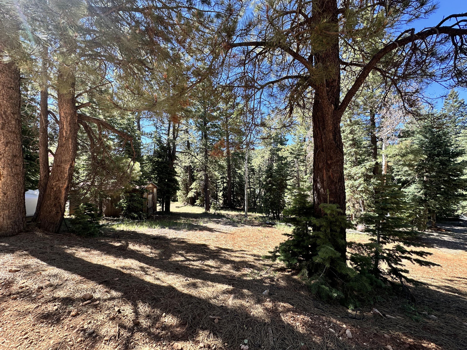 1165 W Doe Trail, Duck Creek Village, photo 6 of 12