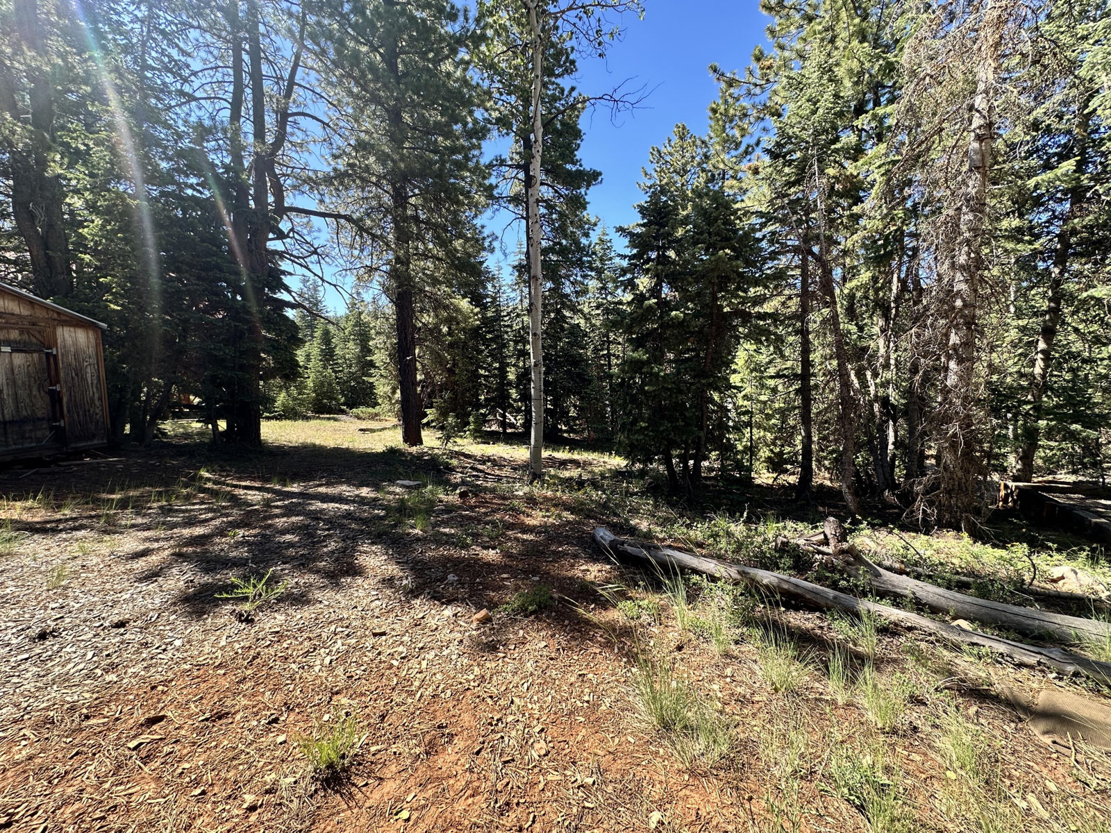 1165 W Doe Trail, Duck Creek Village, photo 8 of 12