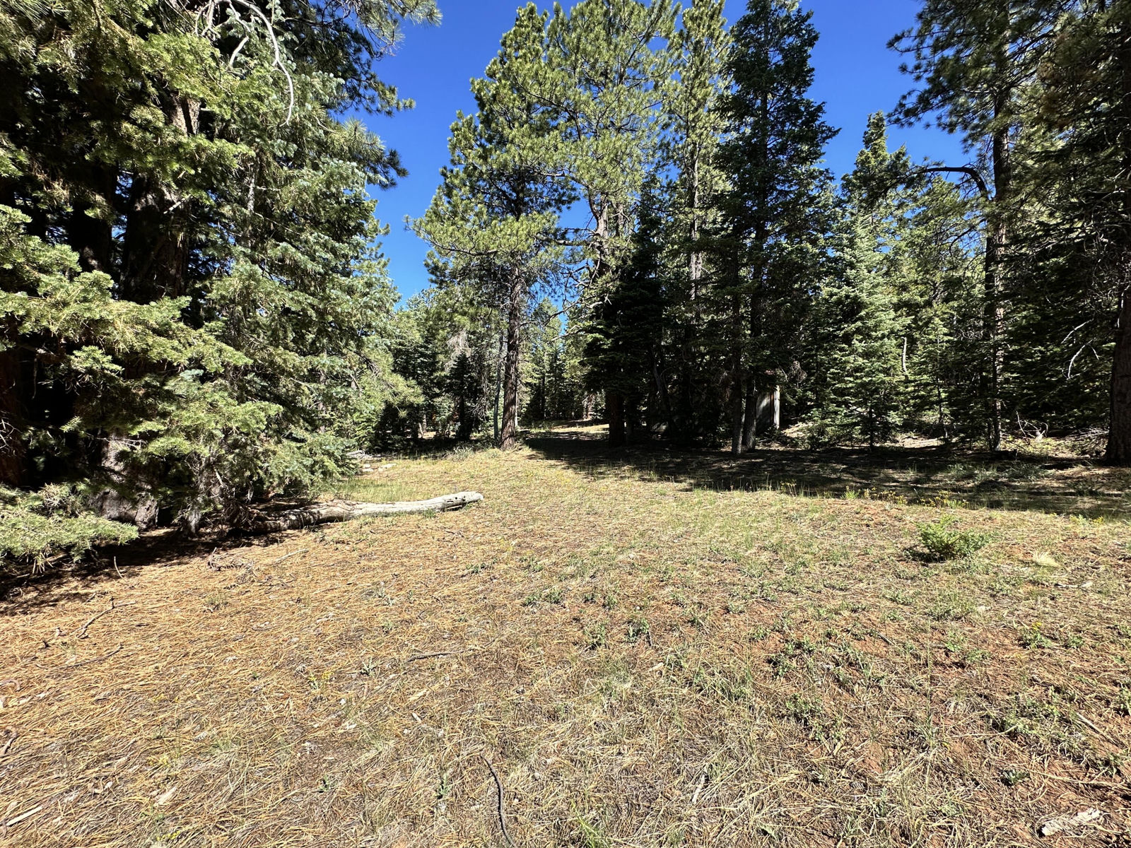1165 W Doe Trail, Duck Creek Village, photo 1