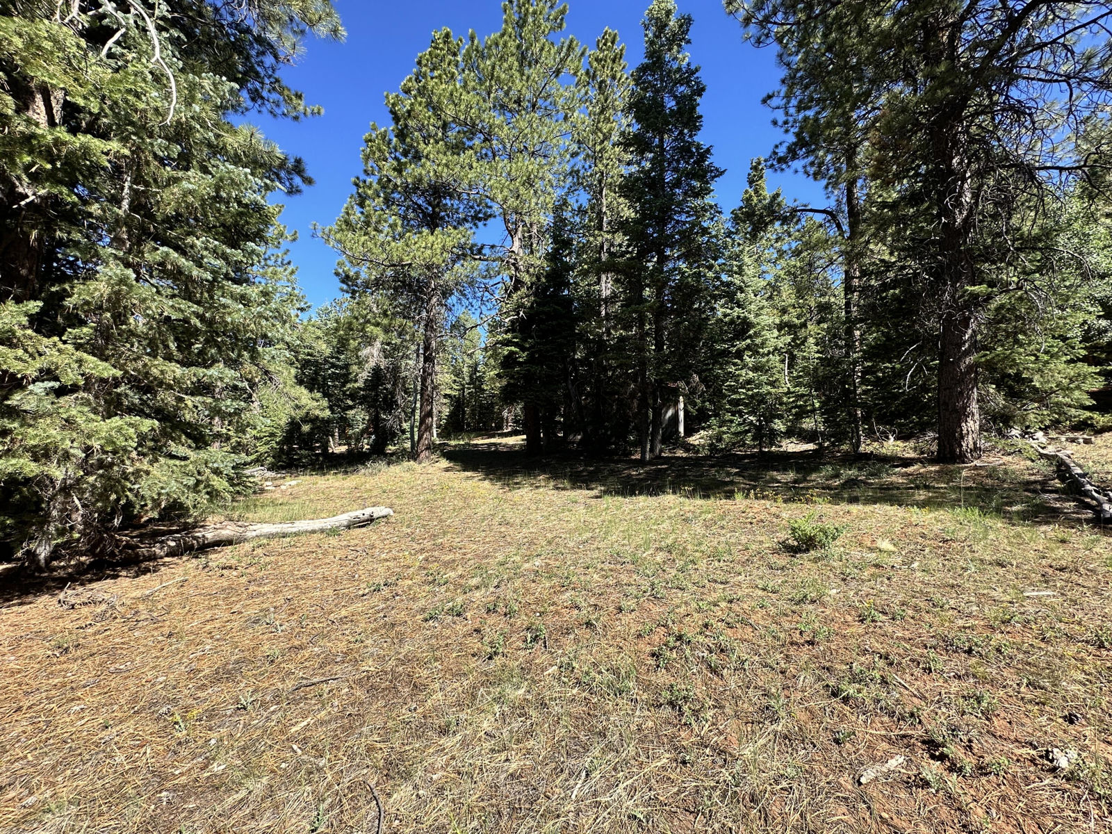 1165 W Doe Trail, Duck Creek Village, photo 9 of 12