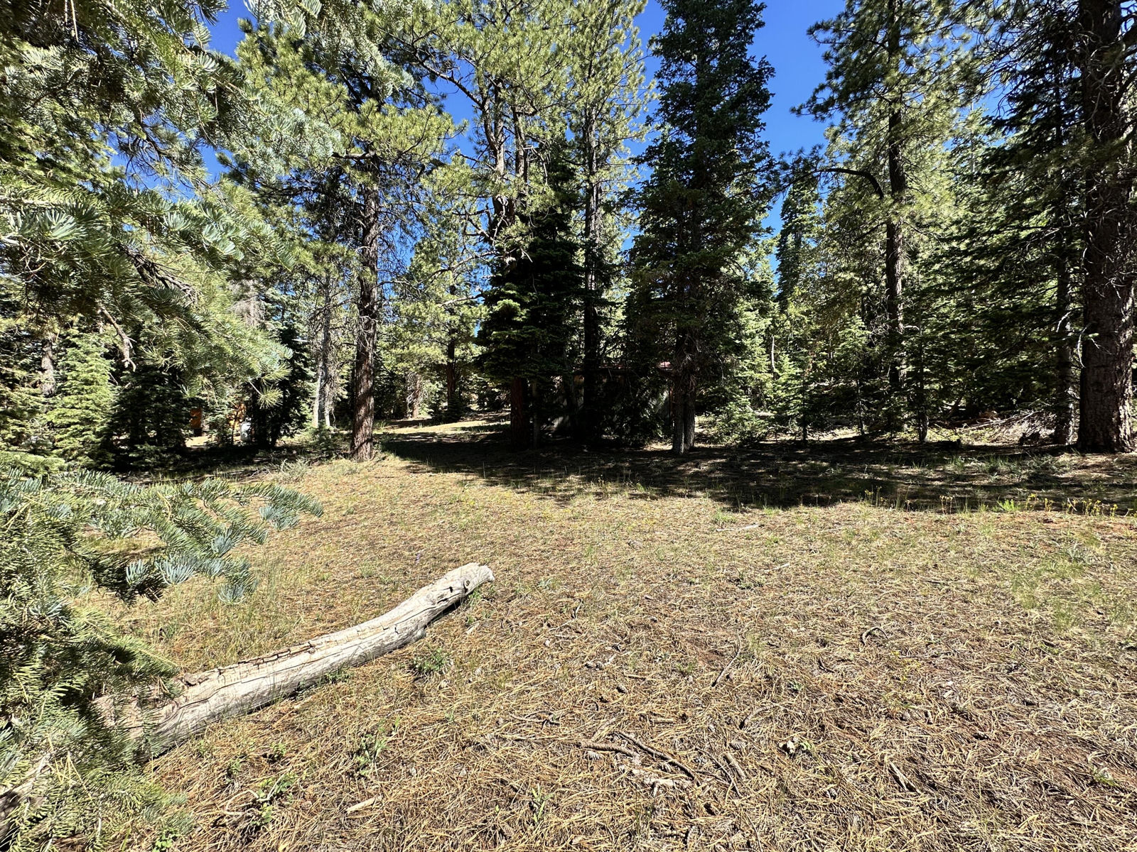 1165 W Doe Trail, Duck Creek Village, photo 10 of 12