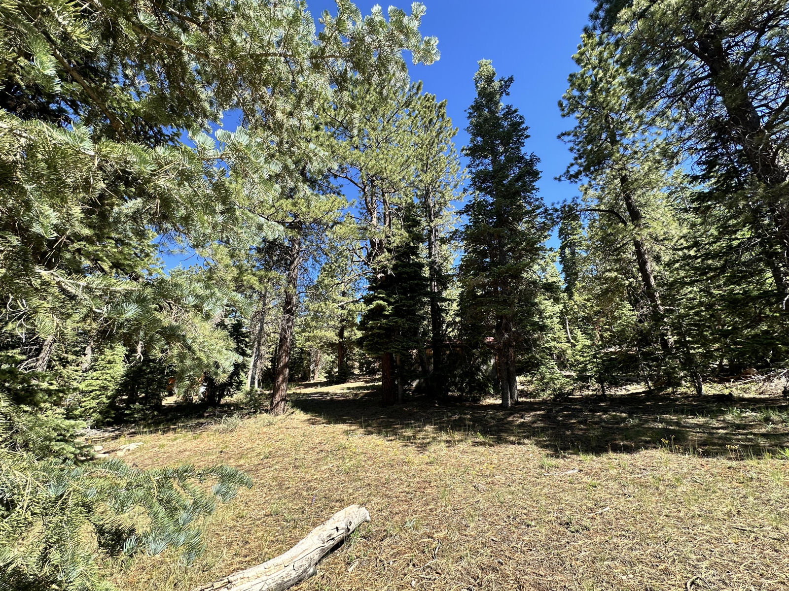 1165 W Doe Trail, Duck Creek Village, photo 11 of 12
