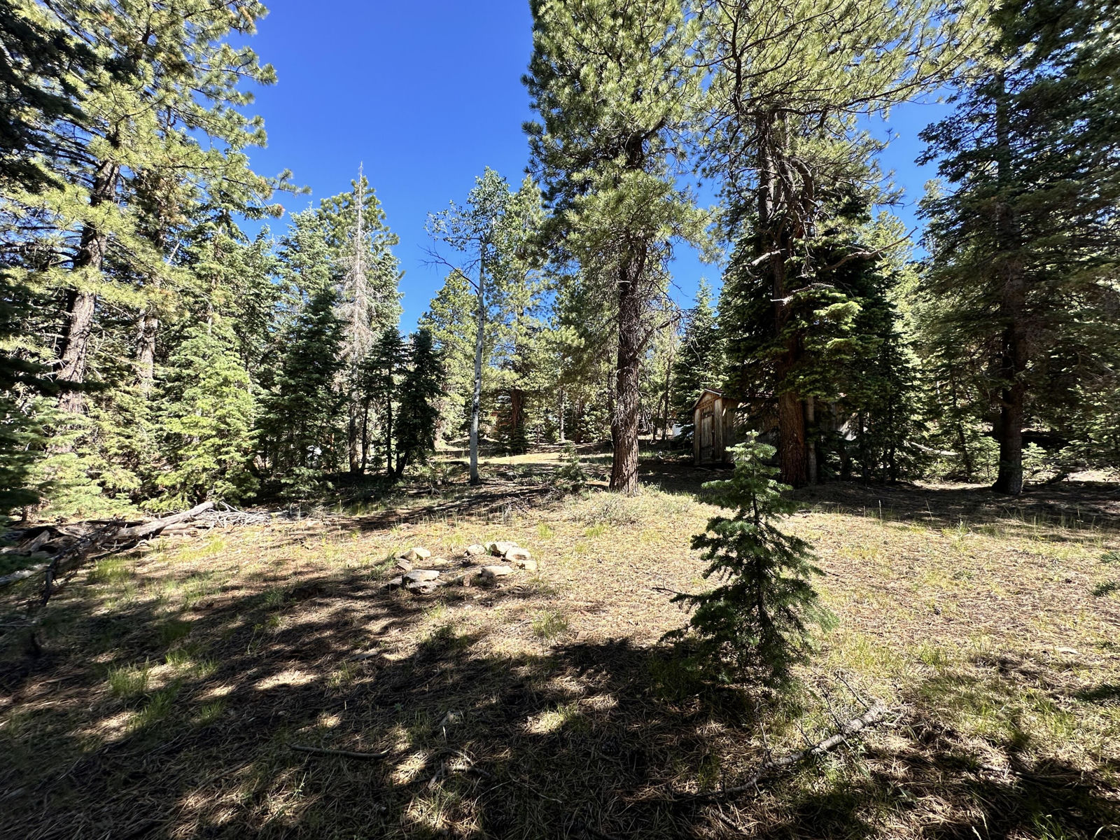 1165 W Doe Trail, Duck Creek Village, photo 12 of 12