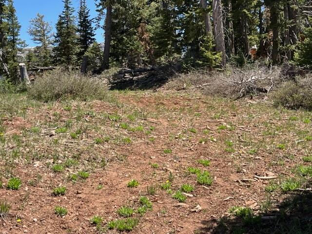 1028 N Aspen DR, Brian Head, photo 9 of 12