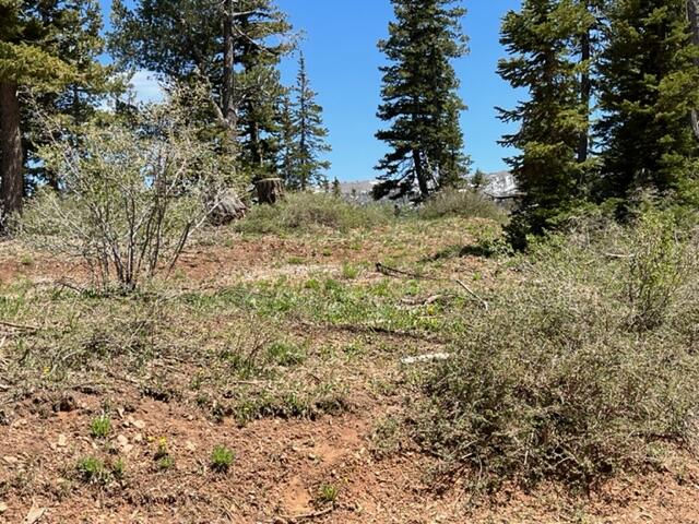 1028 N Aspen DR, Brian Head, photo 11 of 12