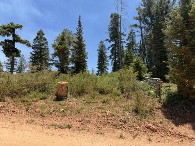 1028 N Aspen DR, Brian Head, photo 3