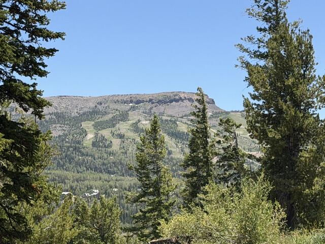 1028 N Aspen DR, Brian Head, photo 4 of 12