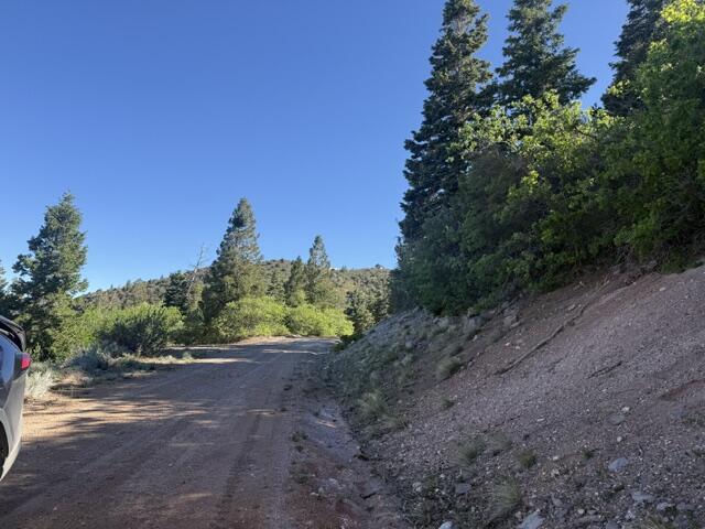 S Summit mountain, LOT 16, 3200, Brian Head