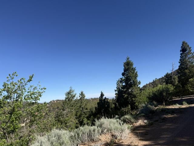S Summit mountain, LOT 16, 3200, Brian Head, photo 4 of 5