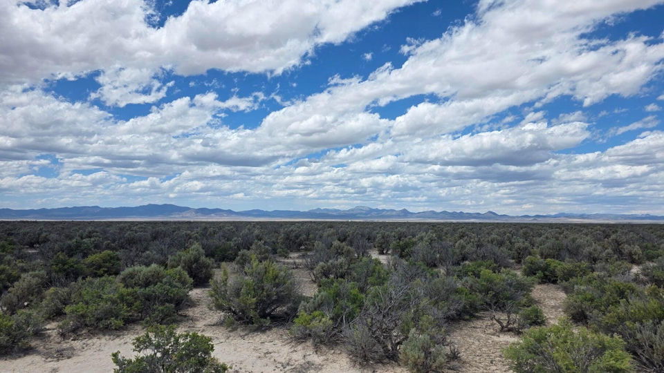 20 Acre Parcel, E-1271-0004-0028, Beryl, photo 3