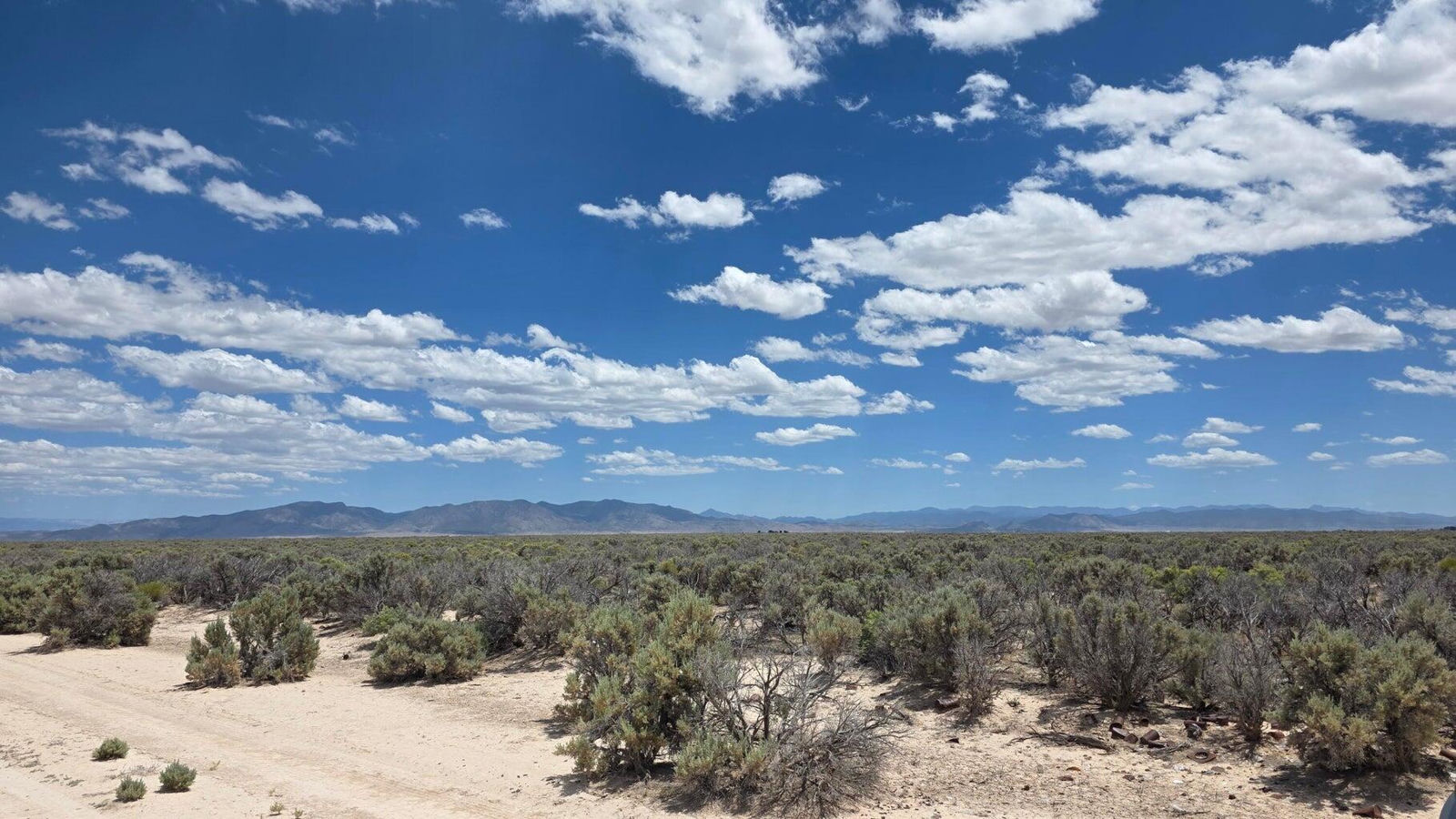20 Acre Parcel, E-1271-0004-0028, Beryl, photo 4 of 5