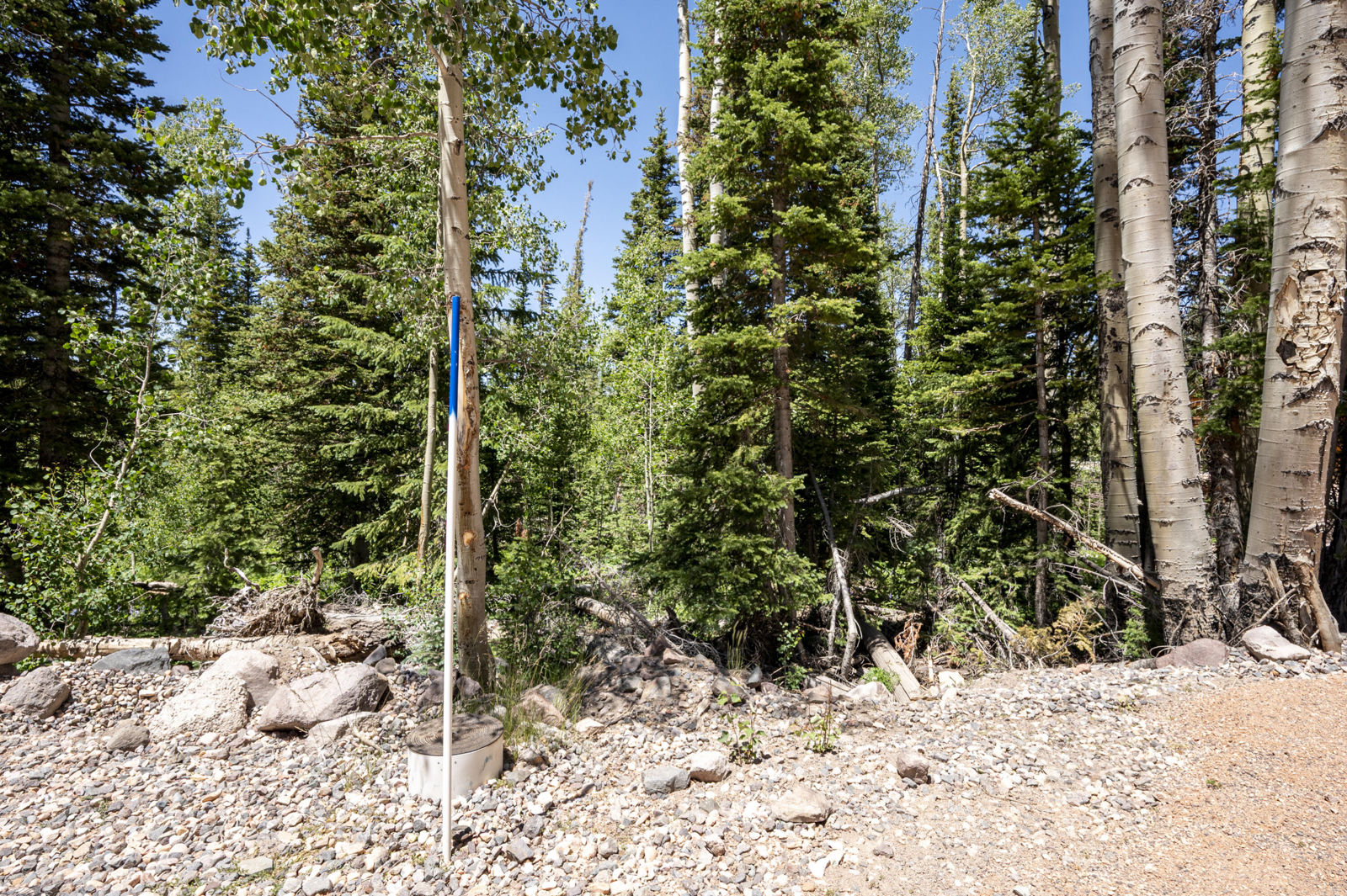 349 E Trail RD, Brian Head, photo 4 of 12