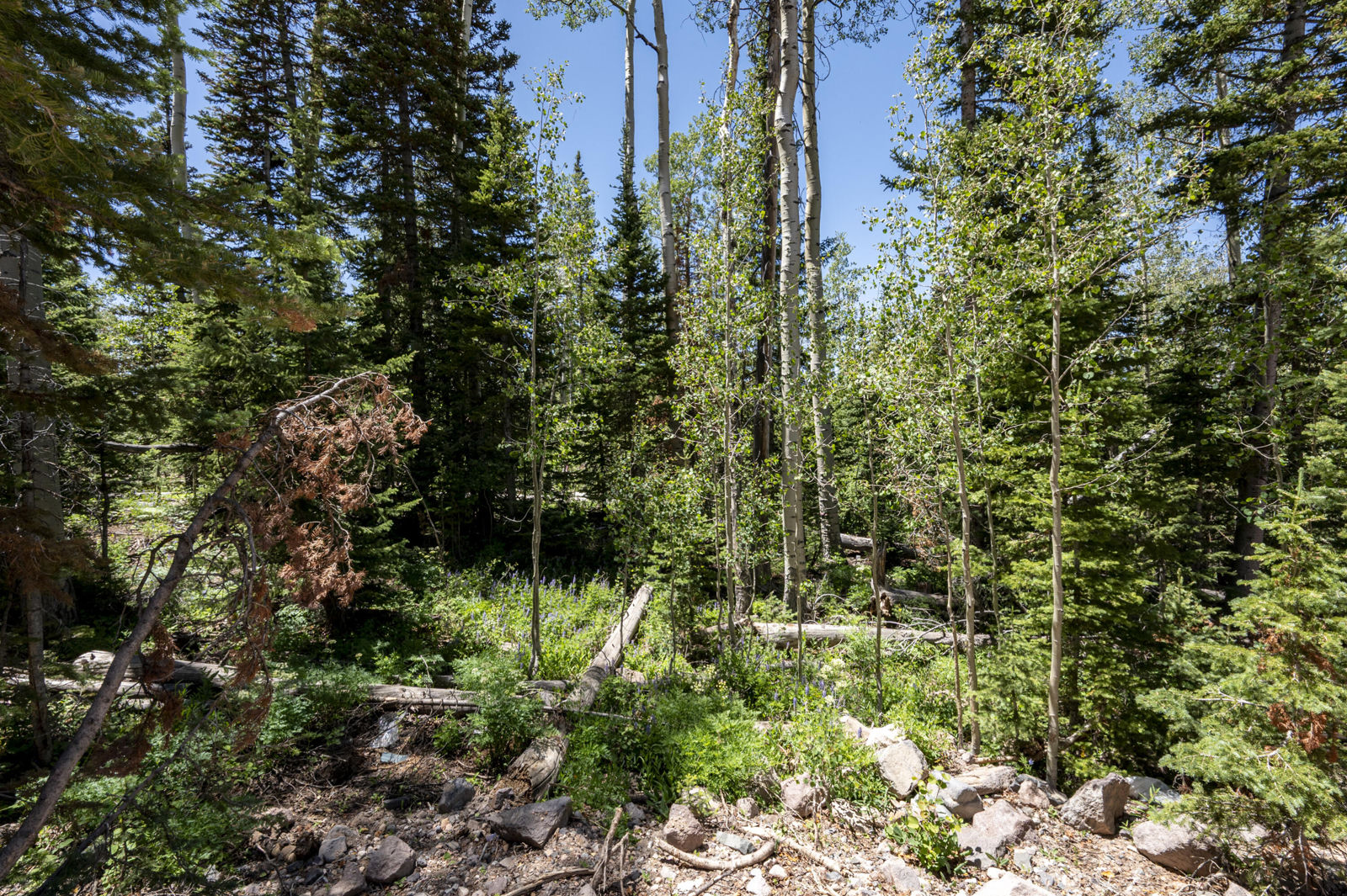 349 E Trail RD, Brian Head, photo 6 of 12