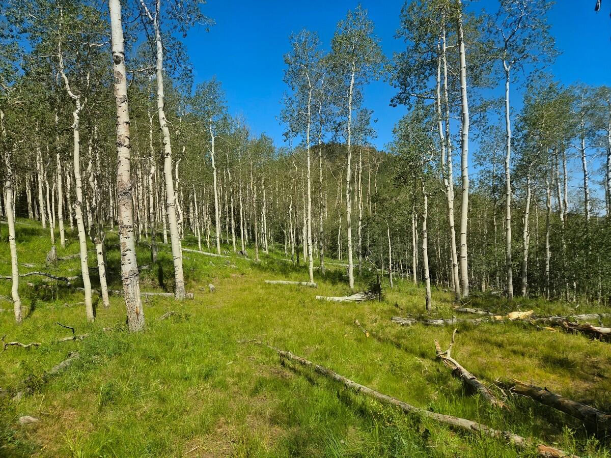40 Acres Summit Mountain RD, Brian Head, photo 4 of 32