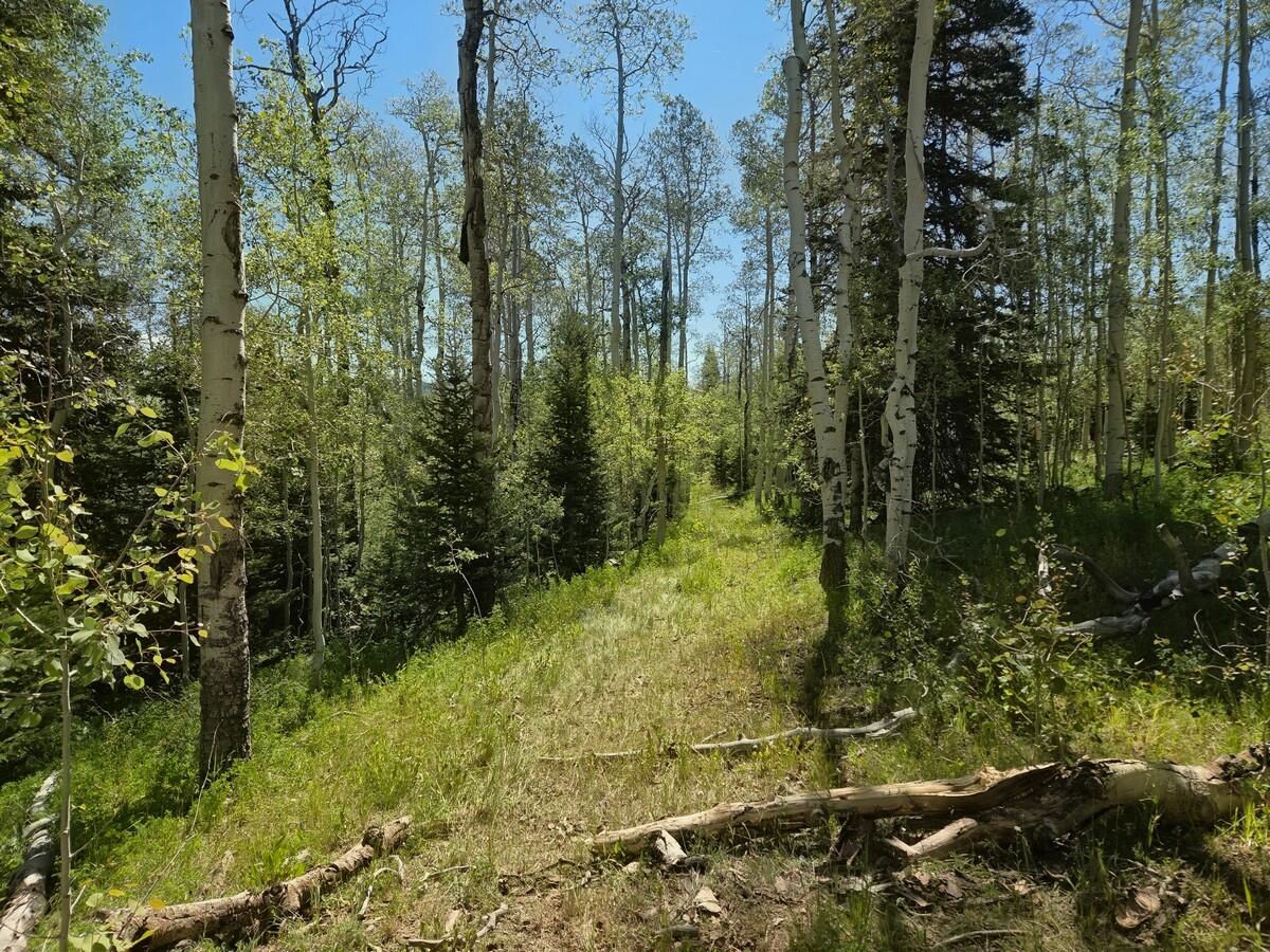 40 Acres Summit Mountain RD, Brian Head, photo 5 of 32