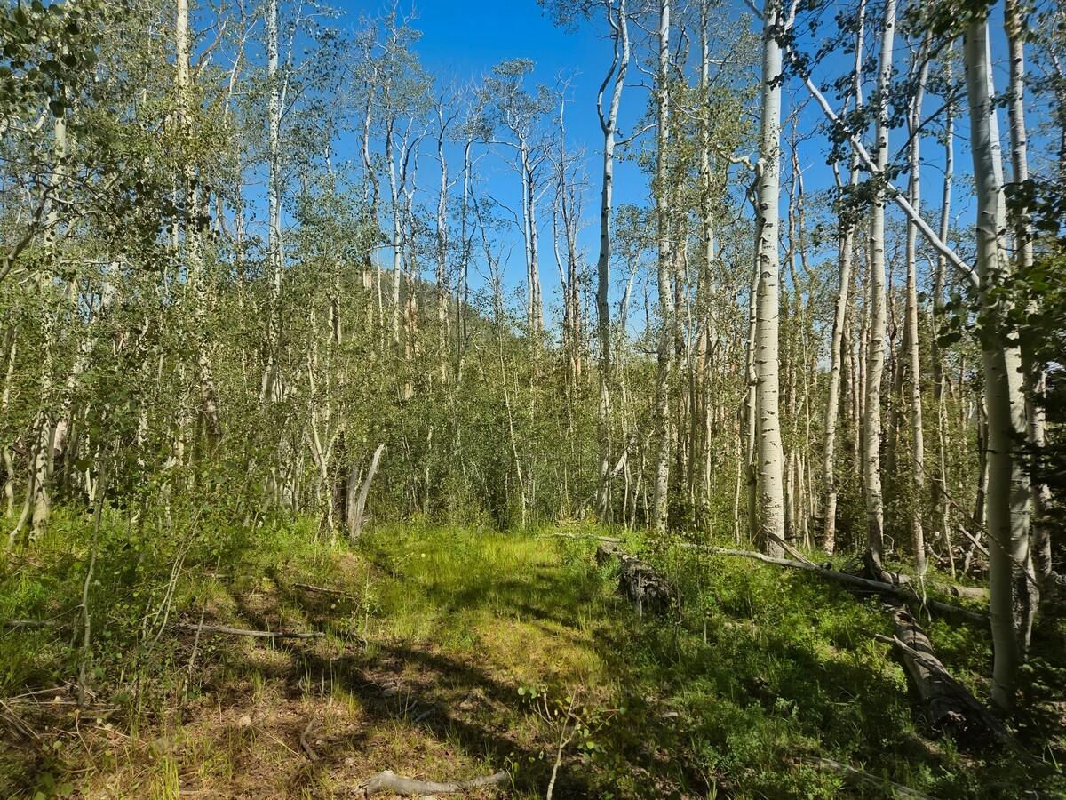 40 Acres Summit Mountain RD, Brian Head, photo 10 of 32