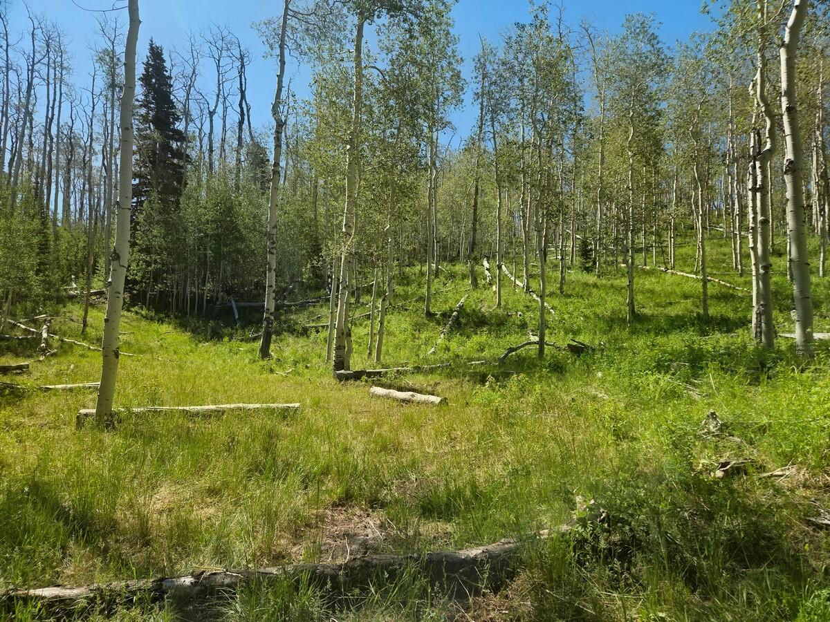 40 Acres Summit Mountain RD, Brian Head, photo 12 of 32