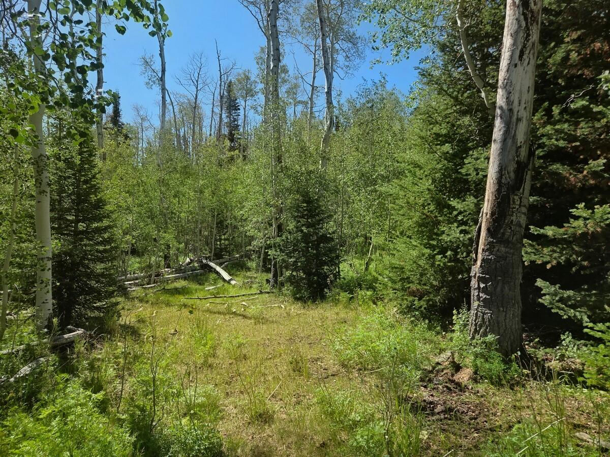40 Acres Summit Mountain RD, Brian Head, photo 13 of 32