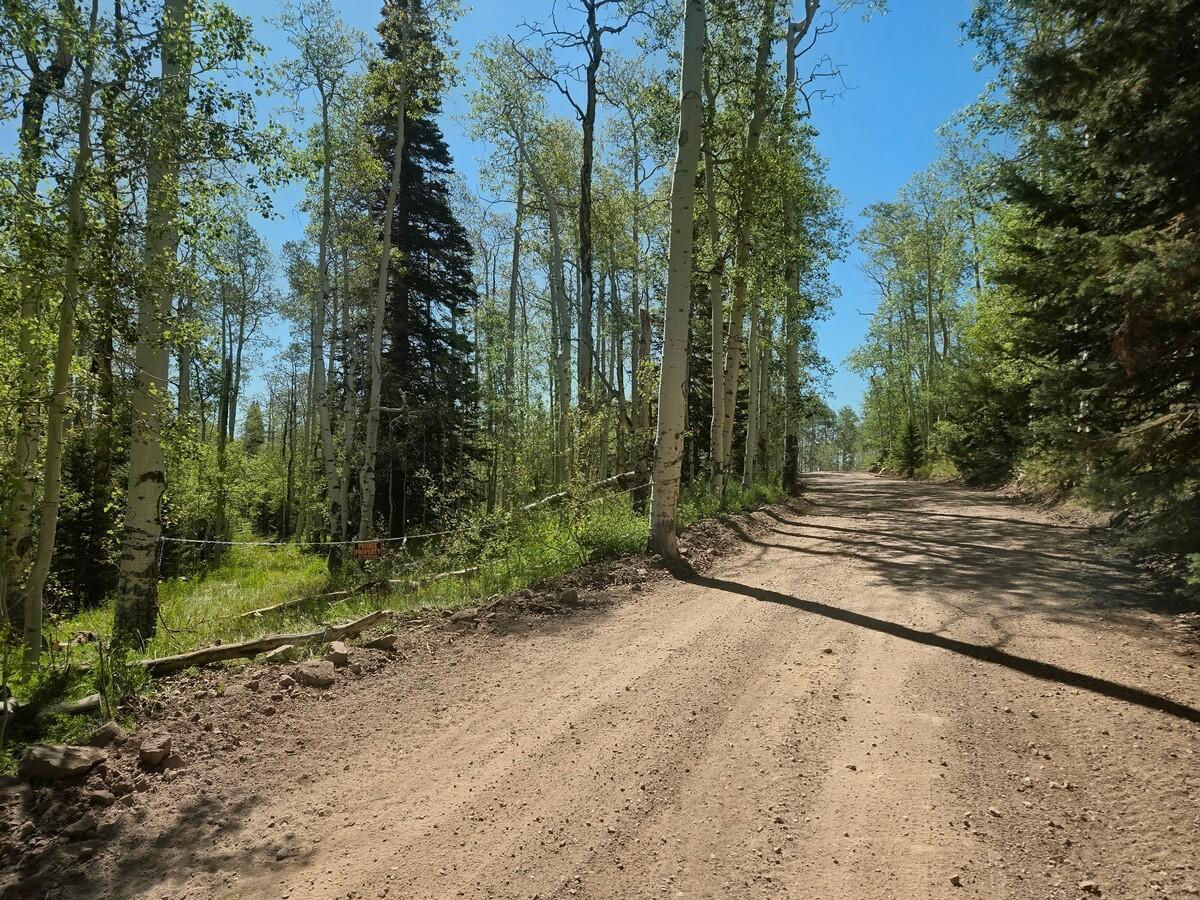 40 Acres Summit Mountain RD, Brian Head, photo 22 of 32