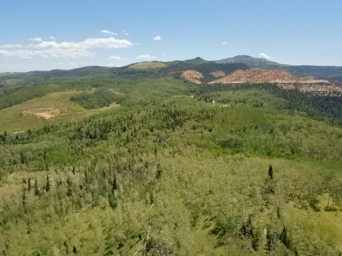 40 Acres Summit Mountain RD, Brian Head, photo 24 of 32