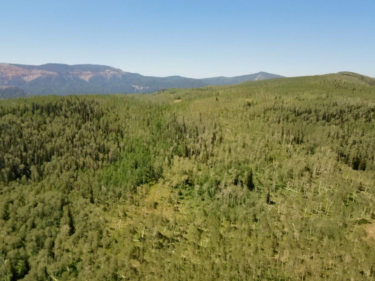 40 Acres Summit Mountain RD, Brian Head, photo 26 of 32