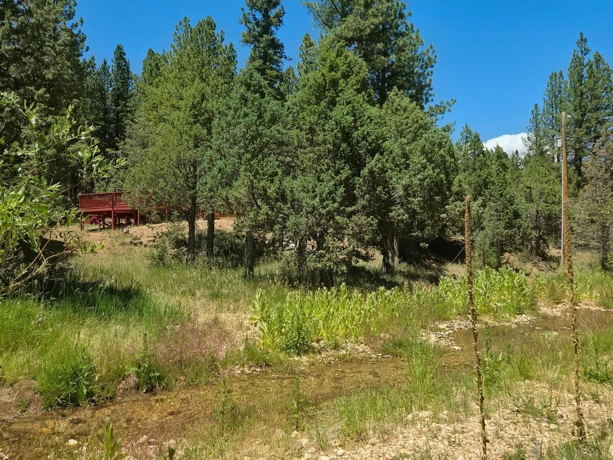 105 S Meadow DR, Mammoth Creek, photo 2 of 50