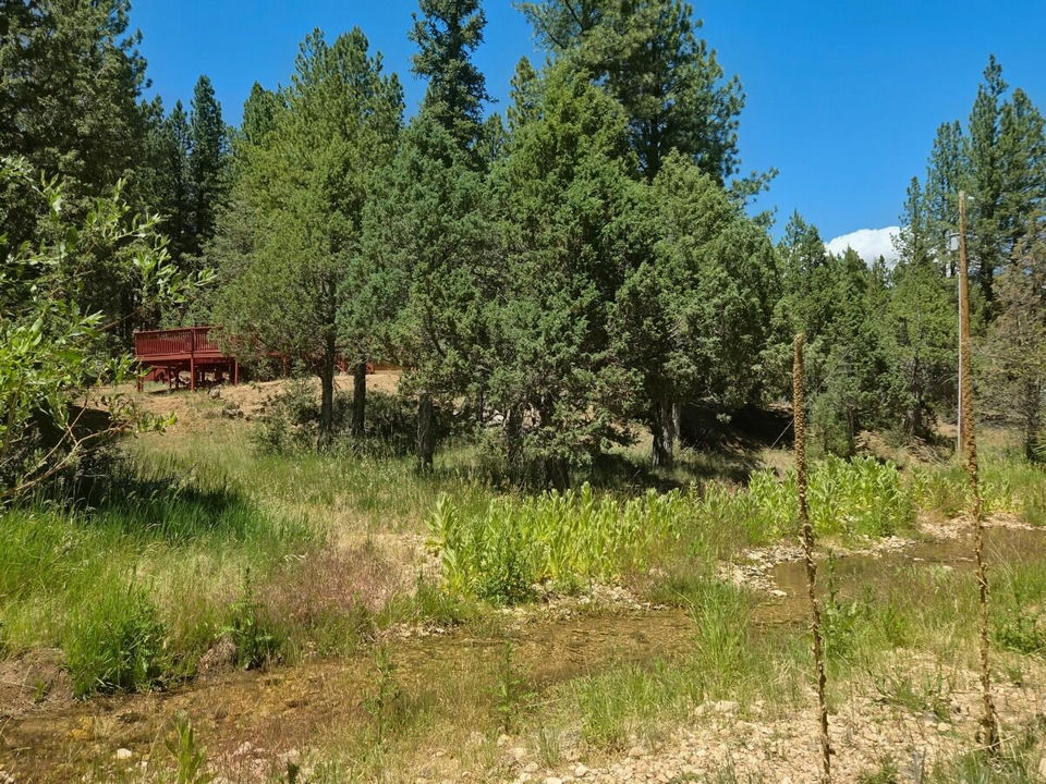 105 S Meadow DR, Mammoth Creek, photo 2