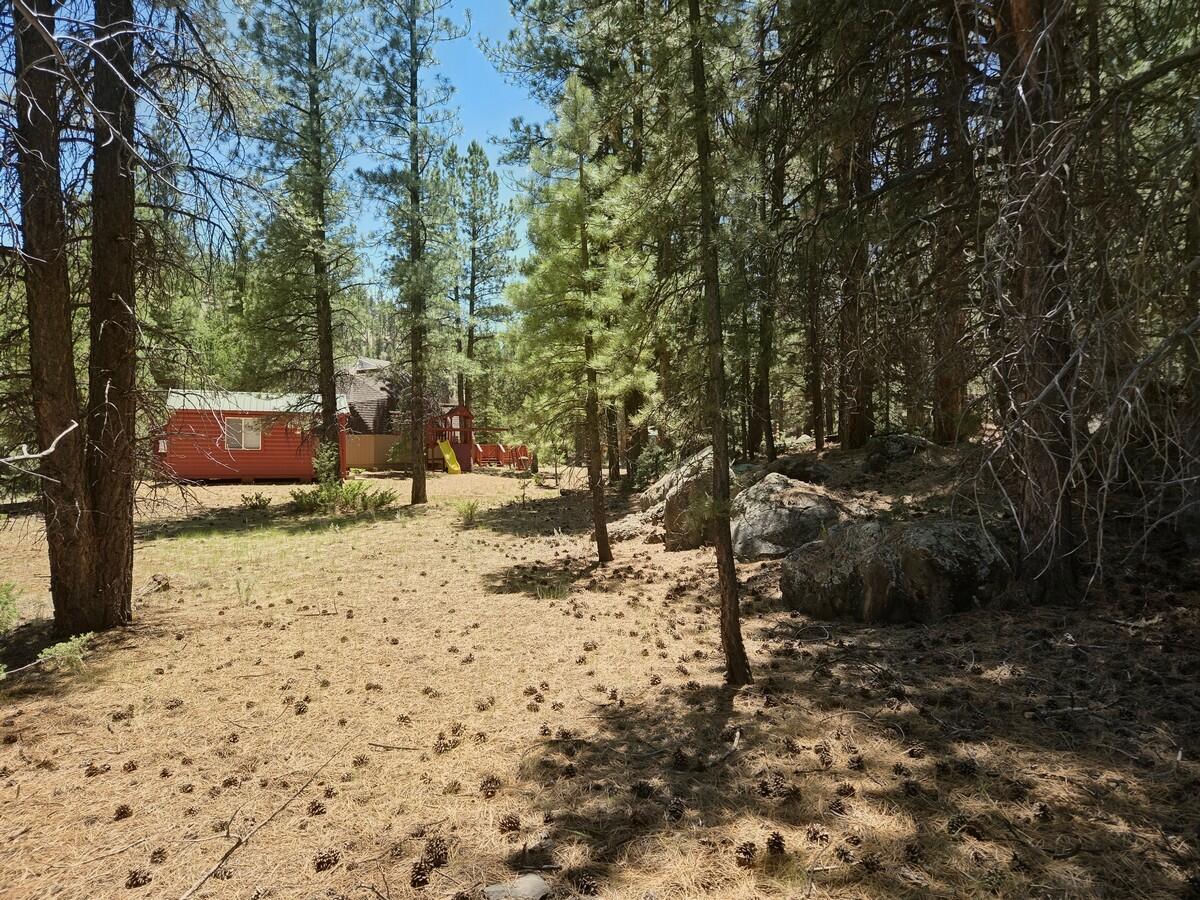 105 S Meadow DR, Mammoth Creek, photo 37 of 50