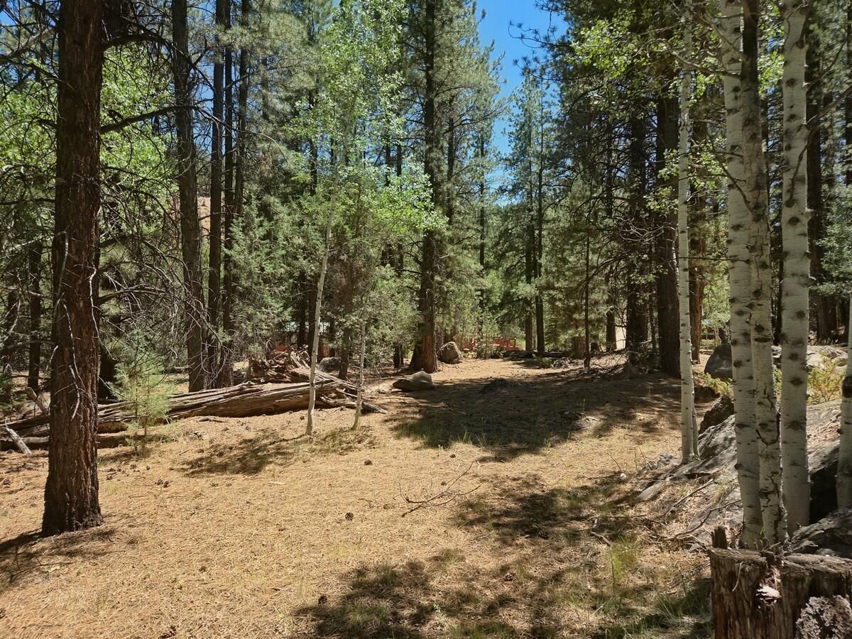105 S Meadow DR, Mammoth Creek, photo 38 of 50