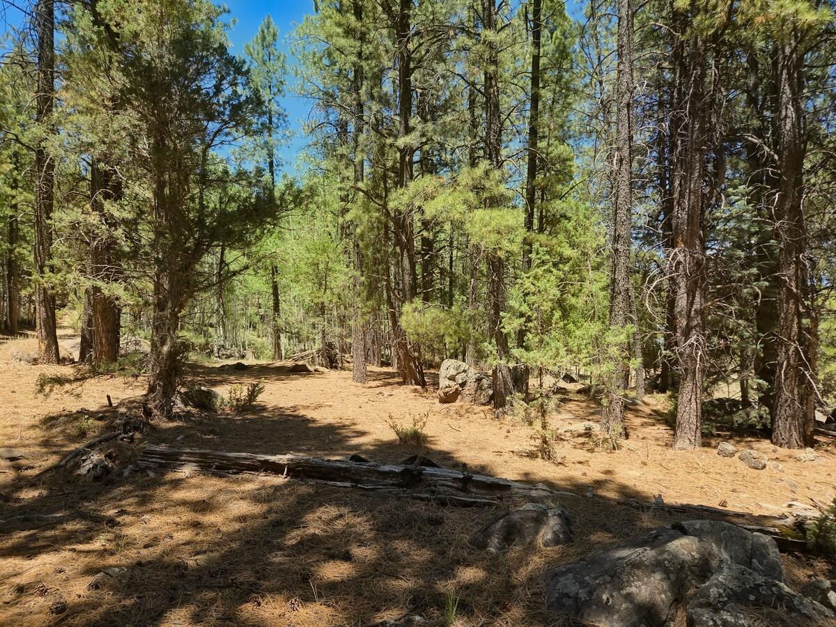 105 S Meadow DR, Mammoth Creek, photo 39 of 50