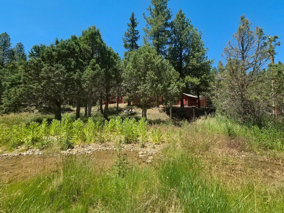 105 S Meadow DR, Mammoth Creek, photo 41 of 50