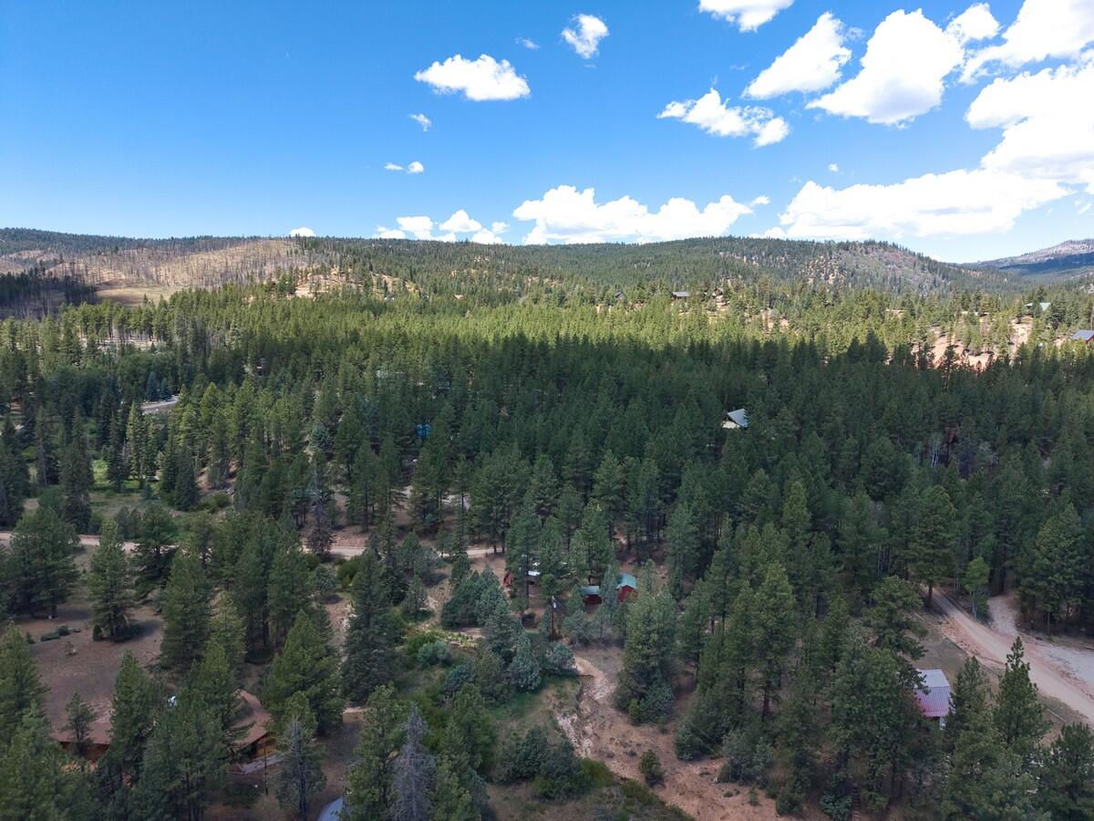 105 S Meadow DR, Mammoth Creek, photo 45 of 50