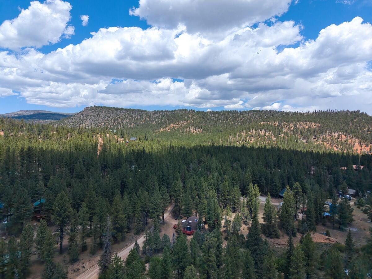 105 S Meadow DR, Mammoth Creek, photo 46 of 50
