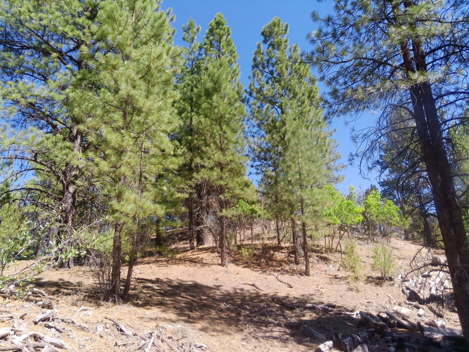 1430 W Elk Ridge DR, Alton, photo 3