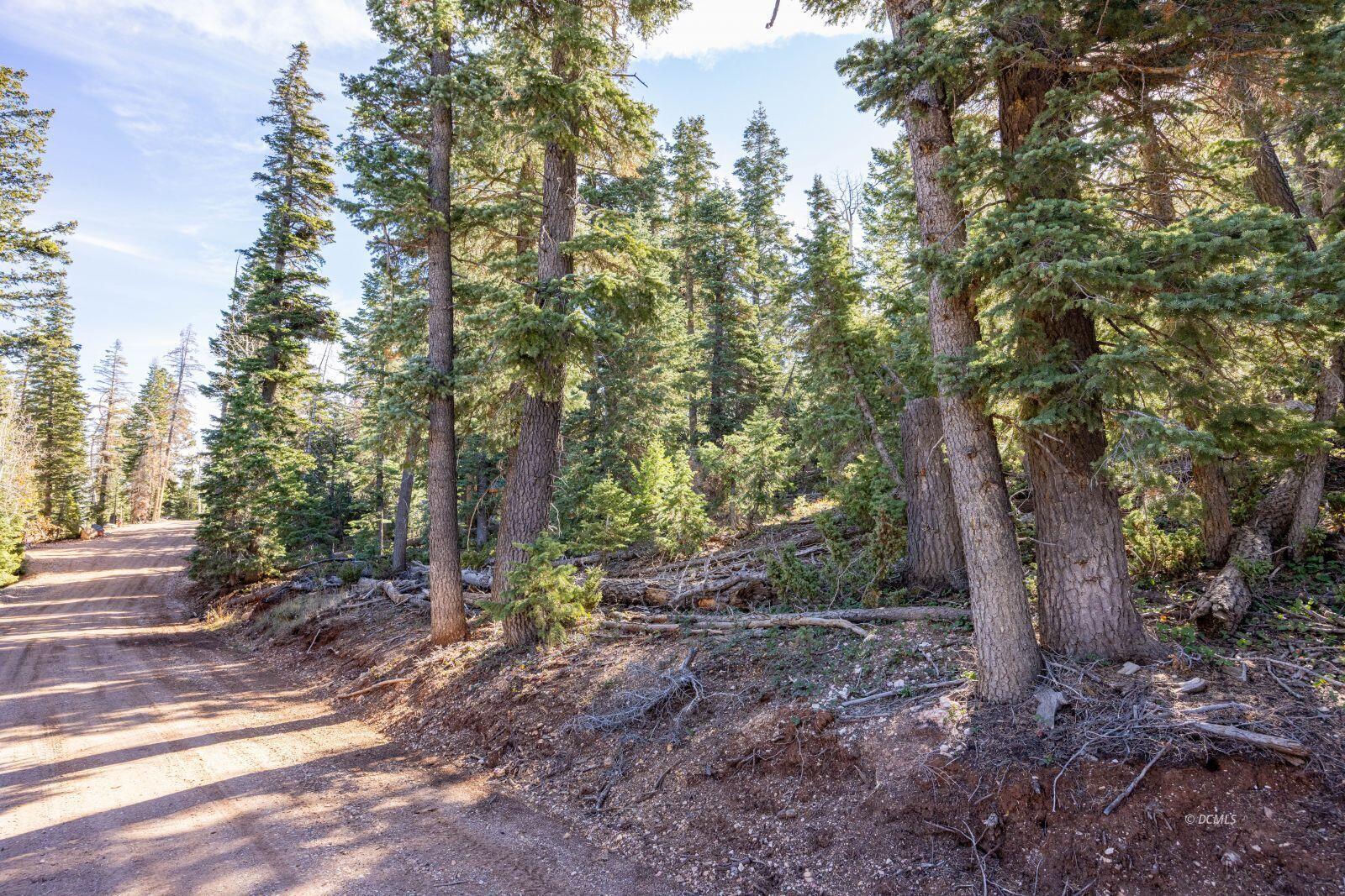 1285 W Twisted Trail, Duck Creek Village, photo 1