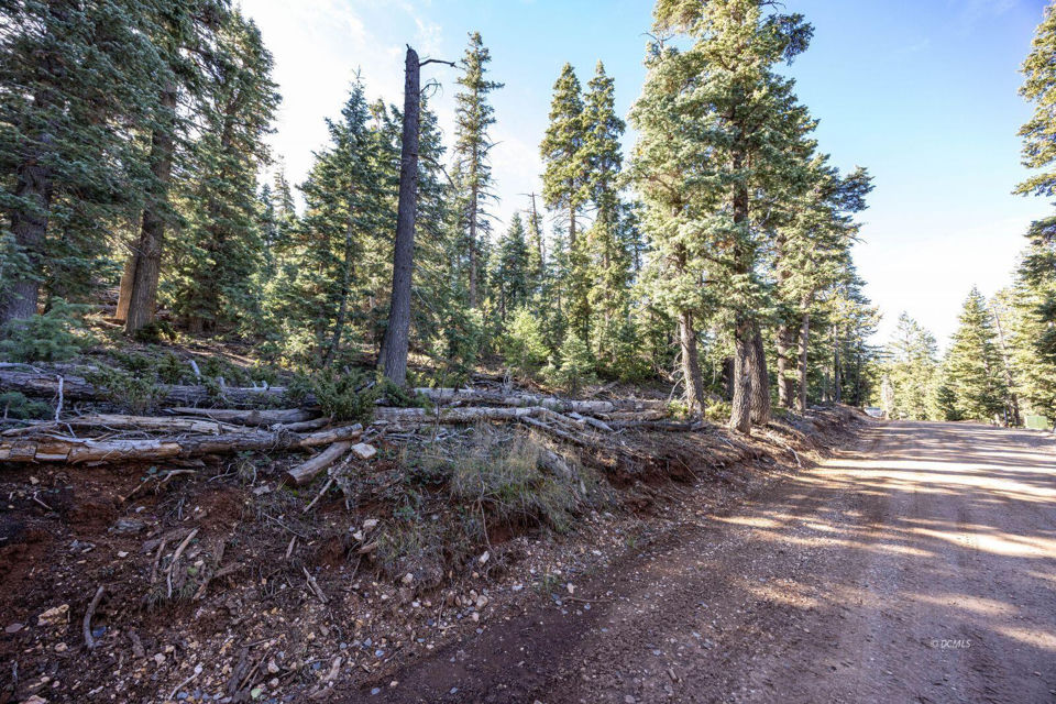 1285 W Twisted Trail, Duck Creek Village, photo 2