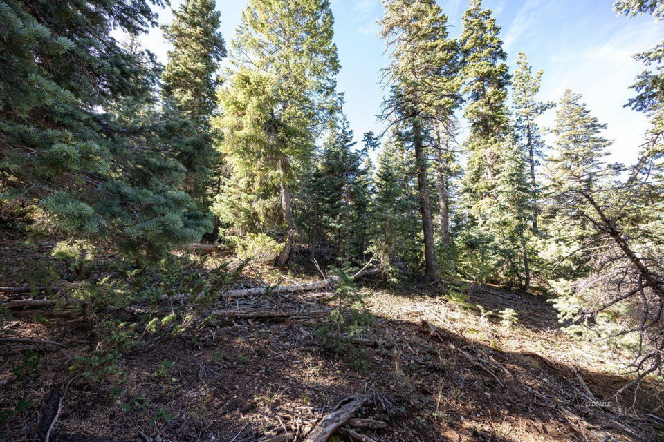 1285 W Twisted Trail, Duck Creek Village, photo 3