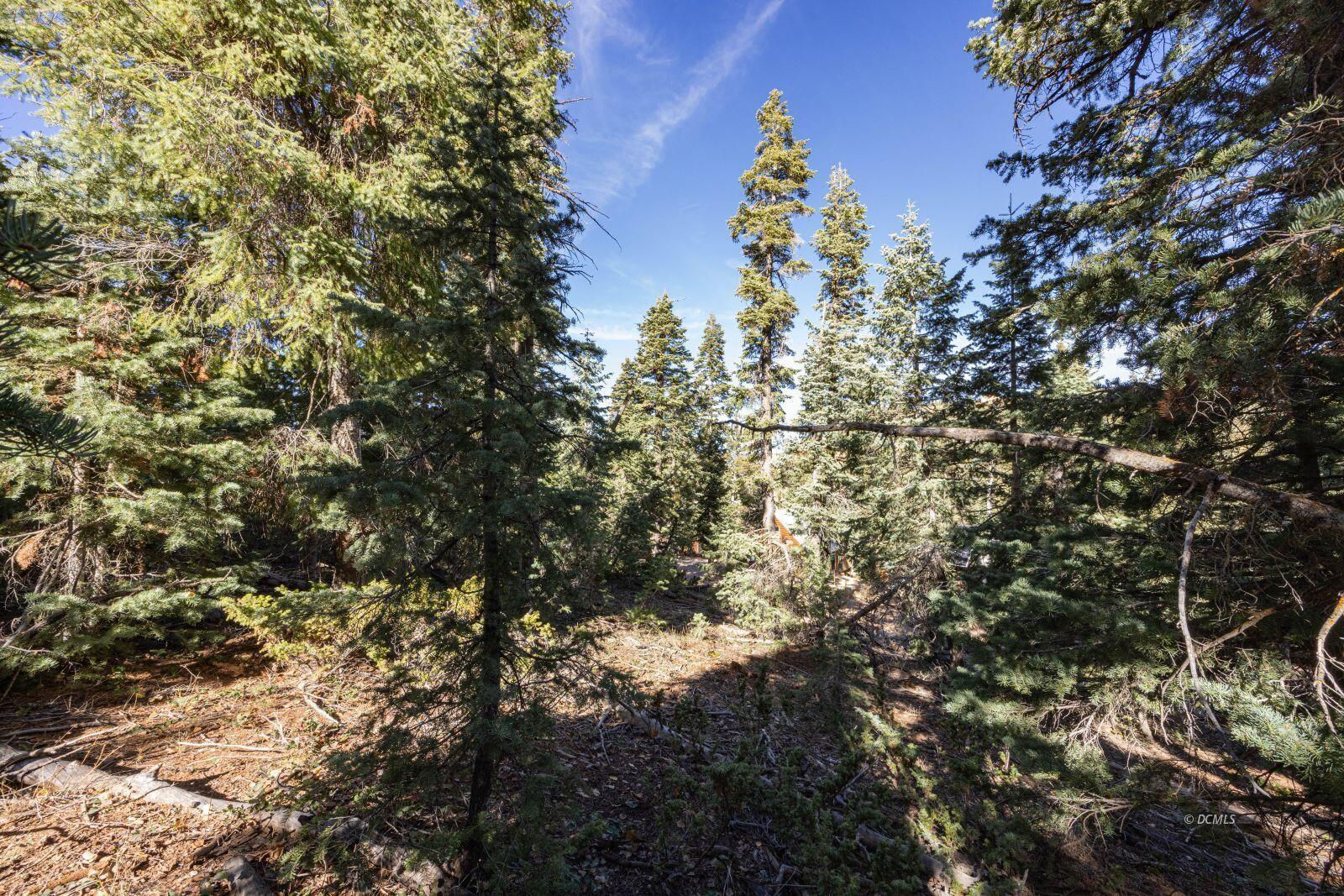 1285 W Twisted Trail, Duck Creek Village, photo 4 of 9