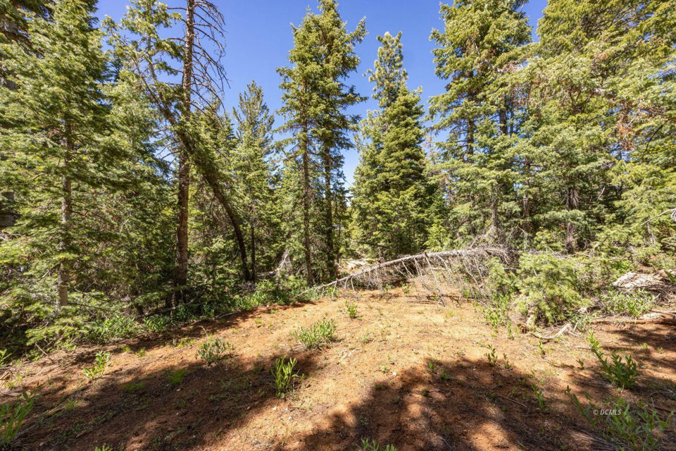 1355 W Twisted Trail, Duck Creek Village