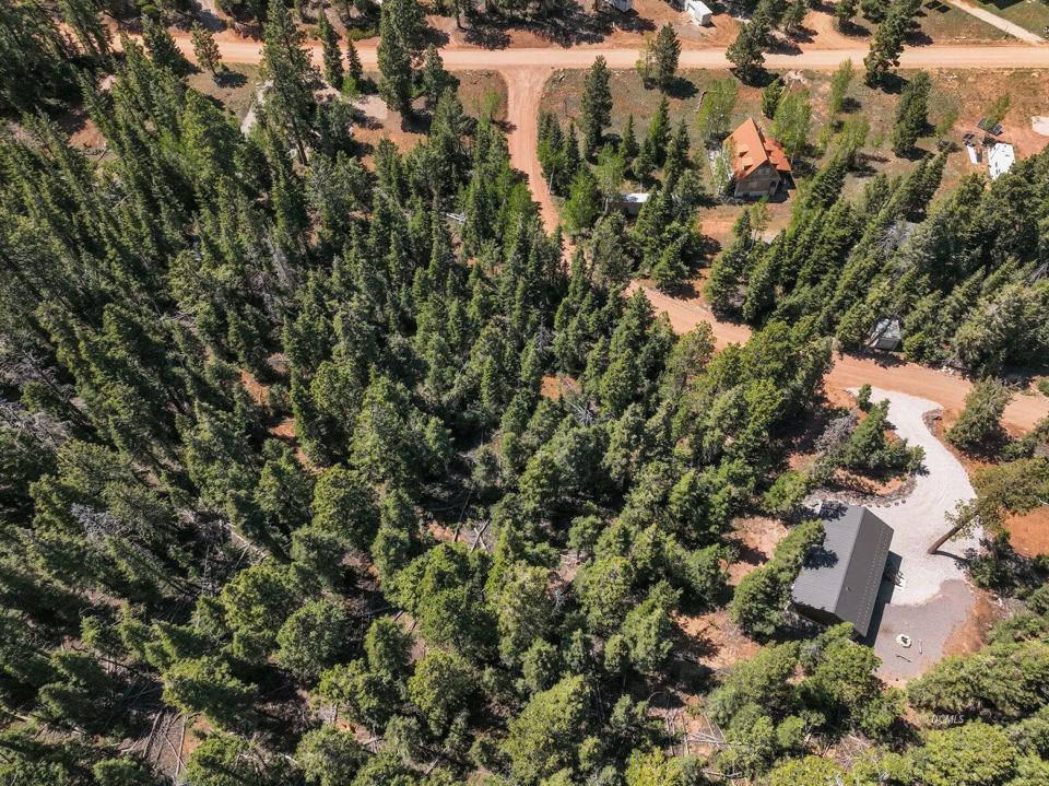 1355 W Twisted Trail, Duck Creek Village, photo 2