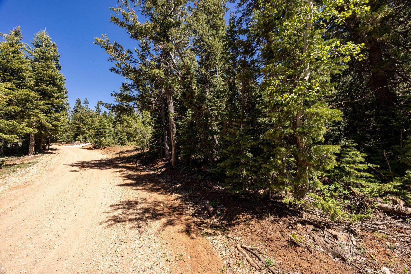 1355 W Twisted Trail, Duck Creek Village, photo 3 of 9