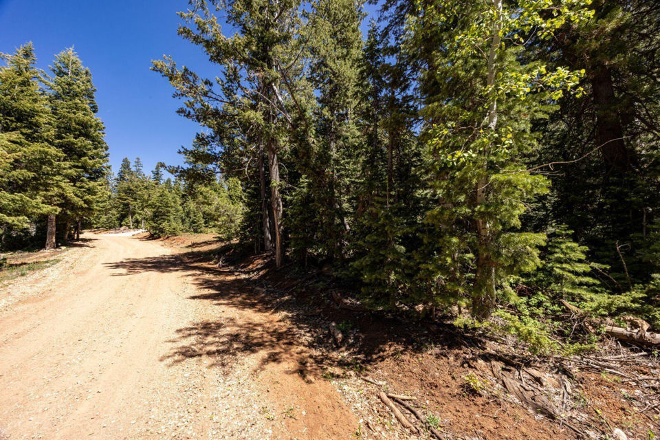 1355 W Twisted Trail, Duck Creek Village, photo 3