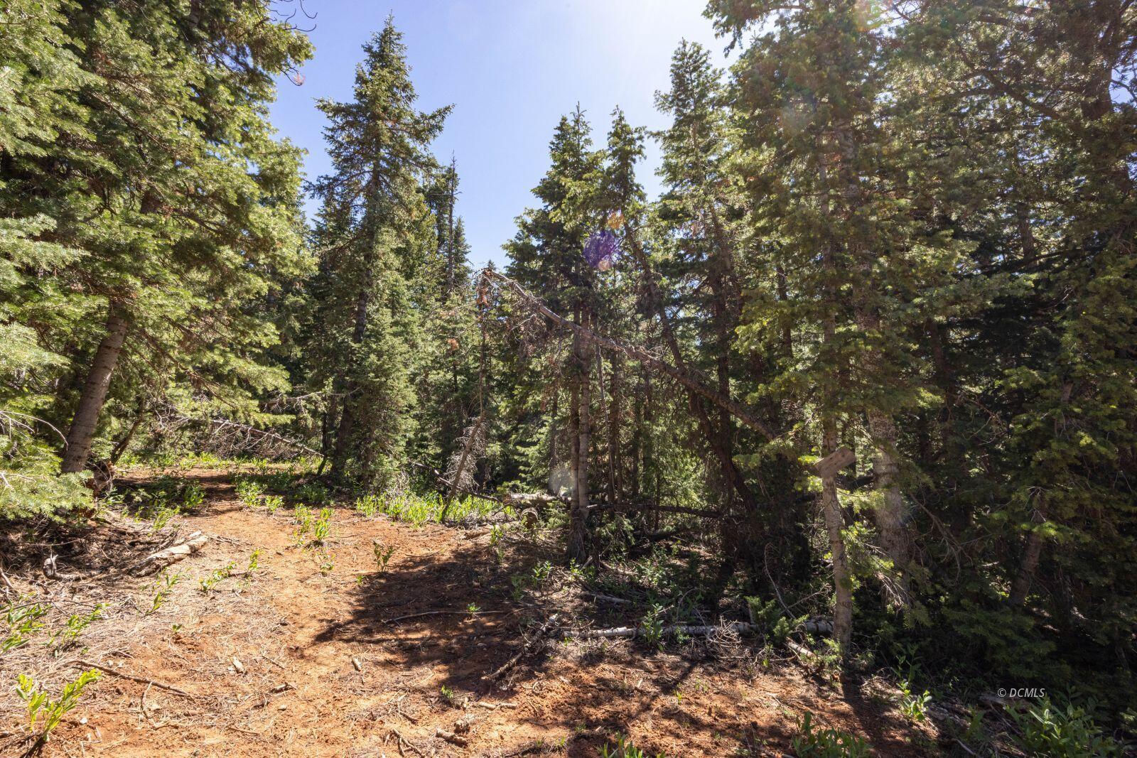 1355 W Twisted Trail, Duck Creek Village, photo 4 of 9