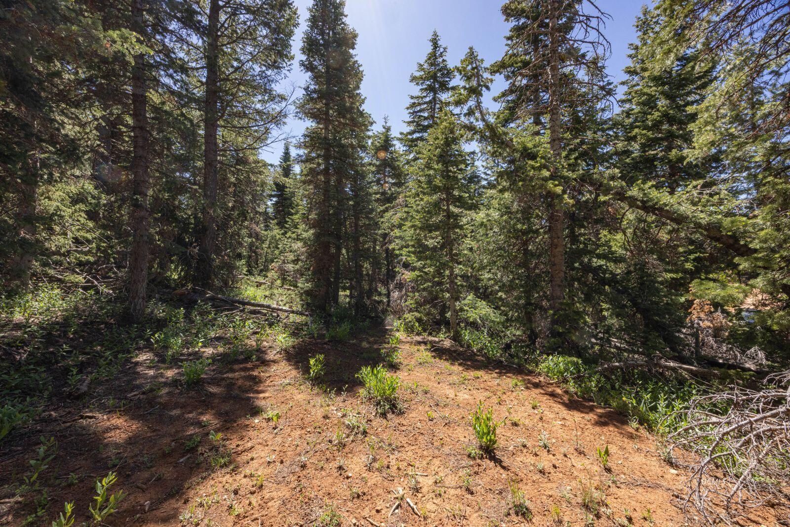 1355 W Twisted Trail, Duck Creek Village, photo 5 of 9